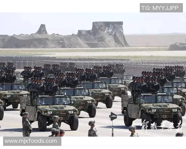 南京乒乓球队边路渗透革新探讨与战术解析全景呈现